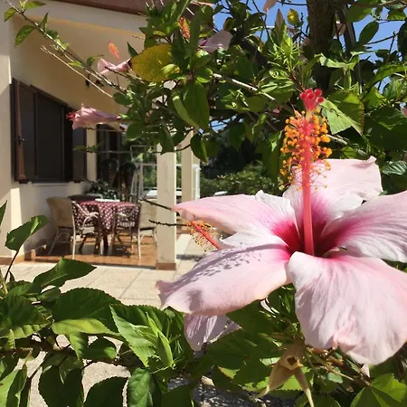 Ro Porto Columbu - Perd'E Sali