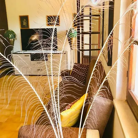 בית נופש Ro *