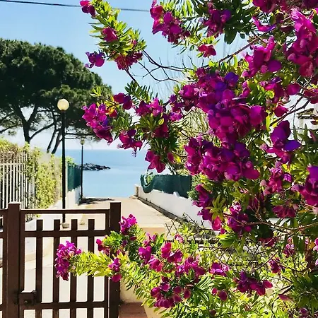 Ro Holiday home