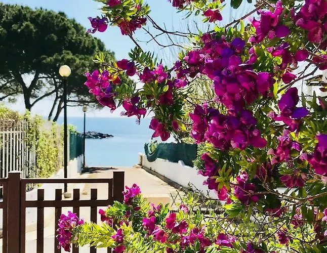 Ro Дом отдыха